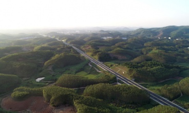 吳圩機場至大塘高速公路